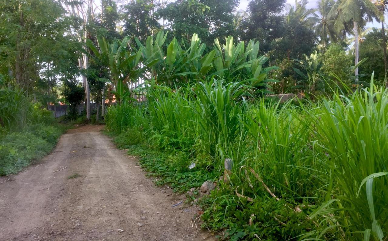 Chemel Homestay Kuta  Exterior photo
